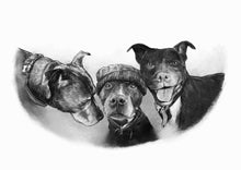 Load image into Gallery viewer, Black and white portrait with pets or animals - Three dogs drawn one with a hat - drawings and portraits from your photos - drawking.com - DrawKing