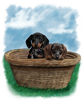 Load image into Gallery viewer, Colour pet portrait - Little dogs drawn in basket - Color drawing -drawings and portraits from your photos - drawking.com - Drawking