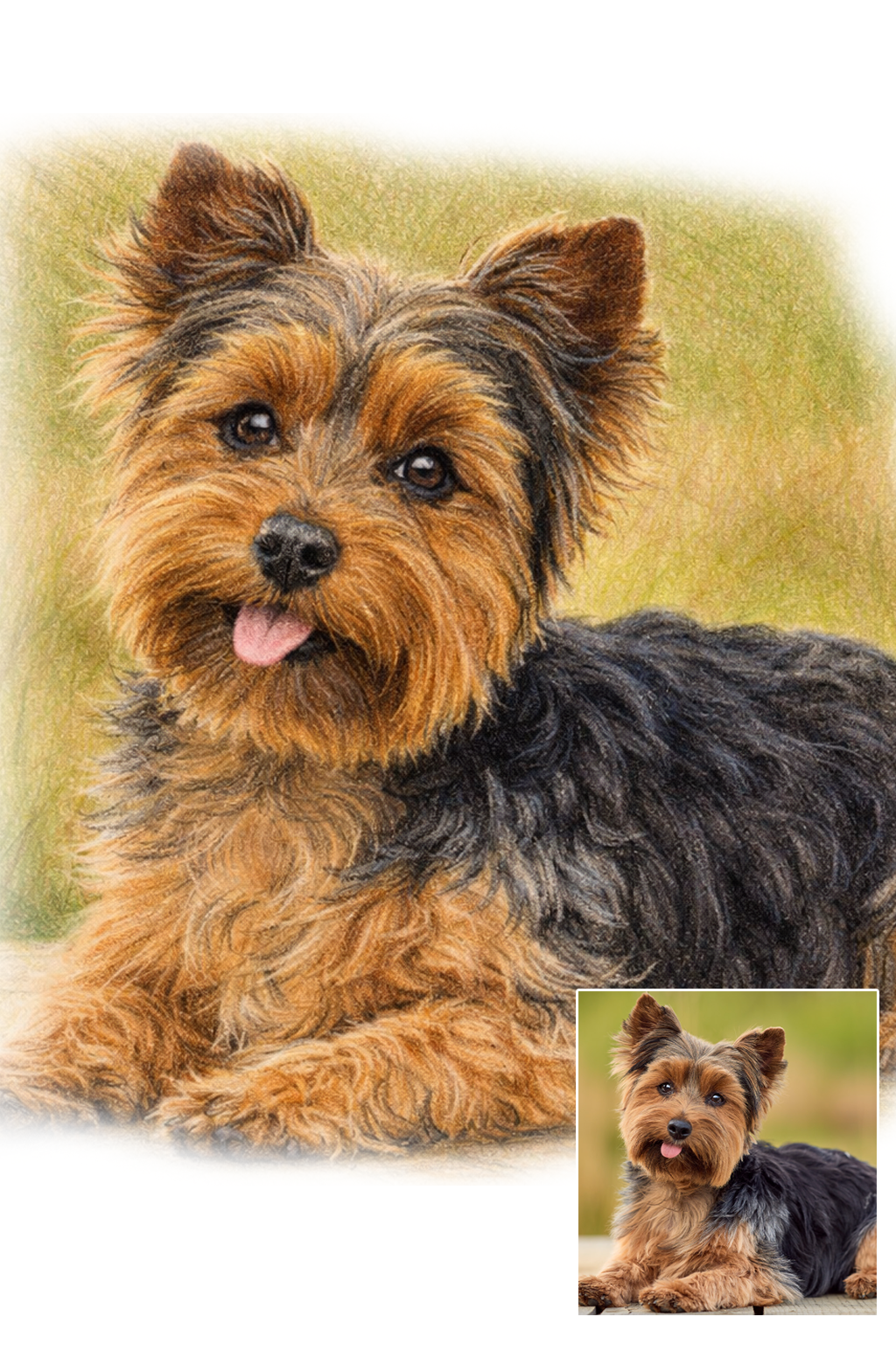 Pet portrait in Color