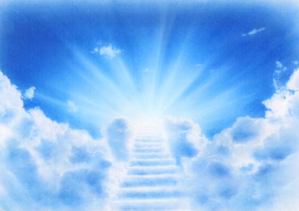 Color Portrait with a feature background