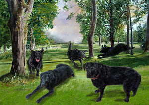 Colour pet portrait - Lots of dogs drawn in park - Color drawing -drawings and portraits from your photos - drawking.com - Drawking